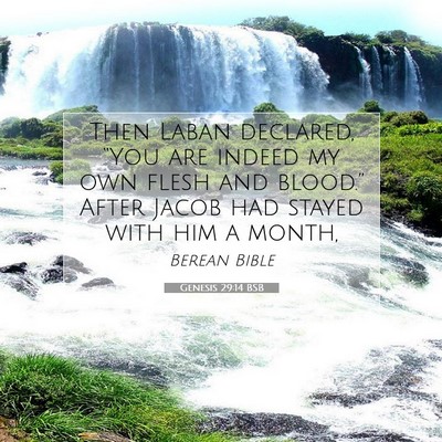 Picture 07 - Genesis 29:14 BSB - Then Laban declared, “You are indeed my own - Bible Verse Picture