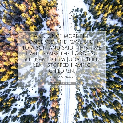 Picture 07 - Genesis 29:35 BSB - And once more she conceived and gave birth to a - Bible Verse Picture