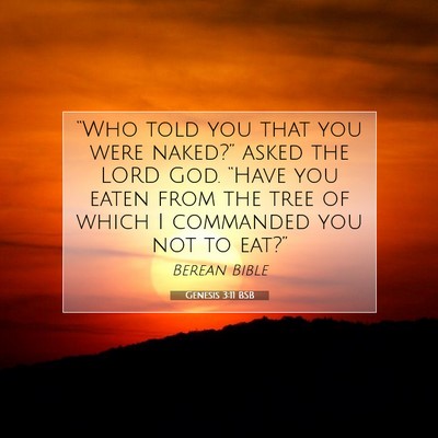 Picture 07 - Genesis 3:11 BSB - “Who told you that you were naked?” asked the - Bible Verse Picture