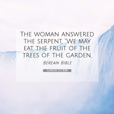 Picture 07 - Genesis 3:2 BSB - The woman answered the serpent, “We may eat the - Bible Verse Picture