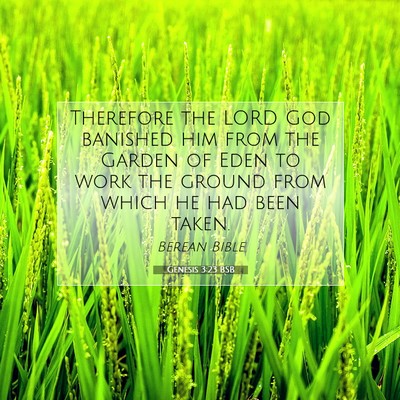 Picture 07 - Genesis 3:23 BSB - Therefore the LORD God banished him from the - Bible Verse Picture