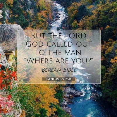 Picture 07 - Genesis 3:9 BSB - But the LORD God called out to the man, “Where - Bible Verse Picture