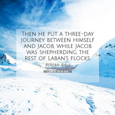 Picture 07 - Genesis 30:36 BSB - Then he put a three-day journey between himself - Bible Verse Picture