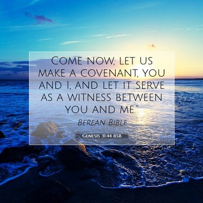 Picture 07 - Genesis 31:44 BSB - Come now, let us make a covenant, you and I, and - Bible Verse Picture