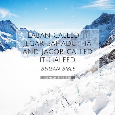 Picture 07 - Genesis 31:47 BSB - Laban called it Jegar-sahadutha, and Jacob called - Bible Verse Picture