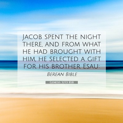 Picture 07 - Genesis 32:13 BSB - Jacob spent the night there, and from what he had - Bible Verse Picture