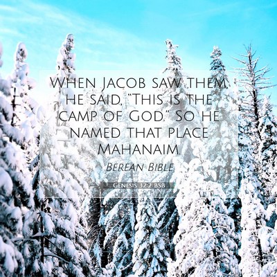 Picture 07 - Genesis 32:2 BSB - When Jacob saw them, he said, “This is the camp - Bible Verse Picture