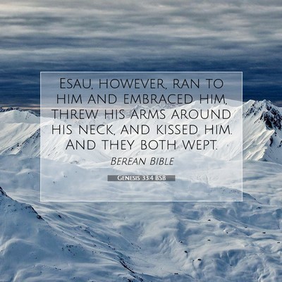 Picture 07 - Genesis 33:4 BSB - Esau, however, ran to him and embraced him, threw - Bible Verse Picture