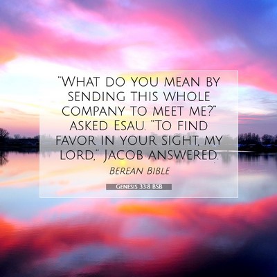Picture 07 - Genesis 33:8 BSB - “What do you mean by sending this whole company - Bible Verse Picture