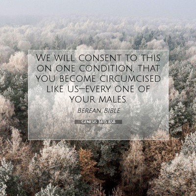 Picture 07 - Genesis 34:15 BSB - We will consent to this on one condition, that - Bible Verse Picture