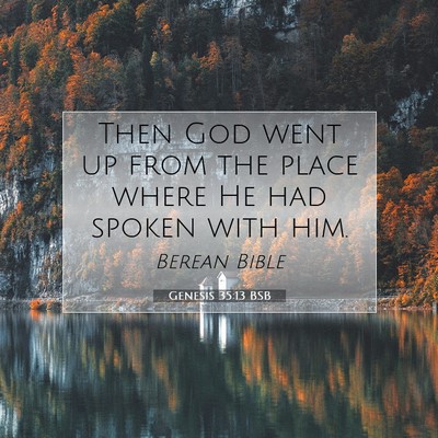 Picture 07 - Genesis 35:13 BSB - Then God went up from the place where He had - Bible Verse Picture
