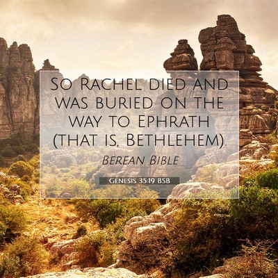 Picture 07 - Genesis 35:19 BSB - So Rachel died and was buried on the way to - Bible Verse Picture