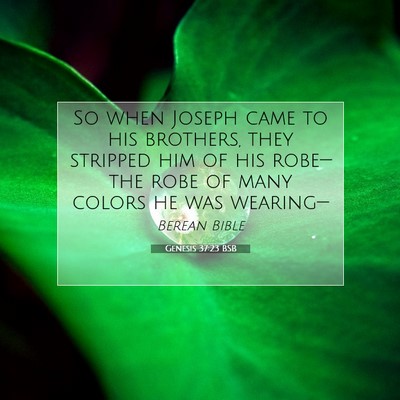 Picture 07 - Genesis 37:23 BSB - So when Joseph came to his brothers, they - Bible Verse Picture