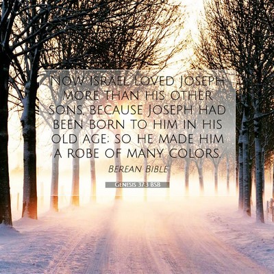 Picture 07 - Genesis 37:3 BSB - Now Israel loved Joseph more than his other sons, - Bible Verse Picture