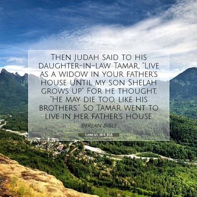 Picture 07 - Genesis 38:11 BSB - Then Judah said to his daughter-in-law Tamar, - Bible Verse Picture