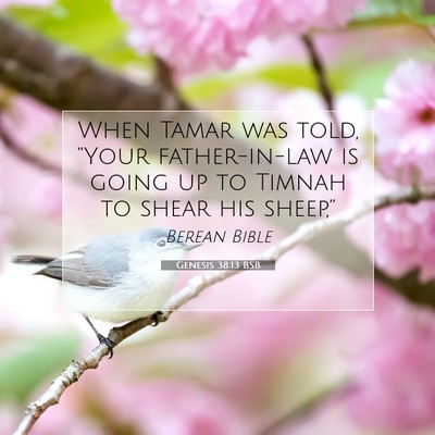 Picture 07 - Genesis 38:13 BSB - When Tamar was told, “Your father-in-law is - Bible Verse Picture