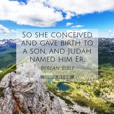 Picture 07 - Genesis 38:3 BSB - So she conceived and gave birth to a son, and - Bible Verse Picture