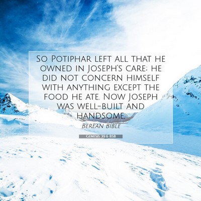 Picture 07 - Genesis 39:6 BSB - So Potiphar left all that he owned in Joseph’s - Bible Verse Picture
