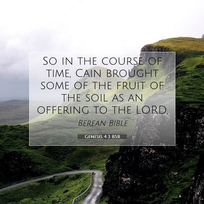 Picture 07 - Genesis 4:3 BSB - So in the course of time, Cain brought some of - Bible Verse Picture