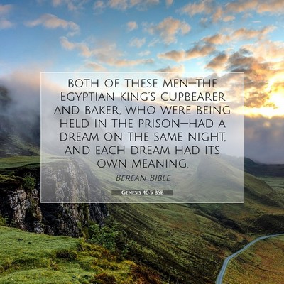 Picture 07 - Genesis 40:5 BSB - both of these men—the Egyptian king’s - Bible Verse Picture