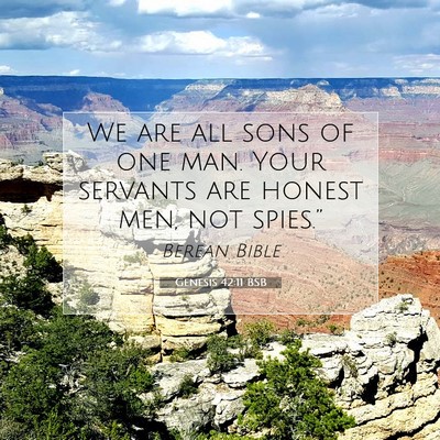 Picture 07 - Genesis 42:11 BSB - We are all sons of one man. Your servants are - Bible Verse Picture