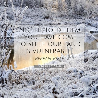 Picture 07 - Genesis 42:12 BSB - “No,” he told them. “You have come to see - Bible Verse Picture