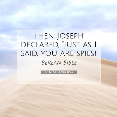 Picture 07 - Genesis 42:14 BSB - Then Joseph declared, “Just as I said, you are - Bible Verse Picture