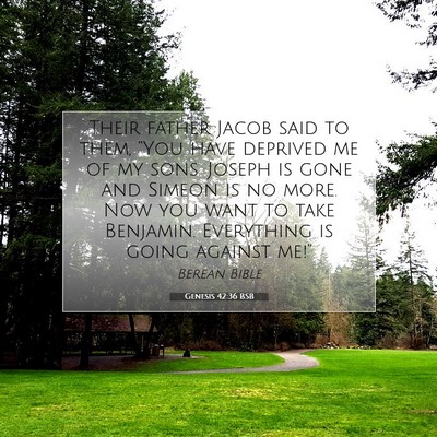 Picture 07 - Genesis 42:36 BSB - Their father Jacob said to them, “You have - Bible Verse Picture