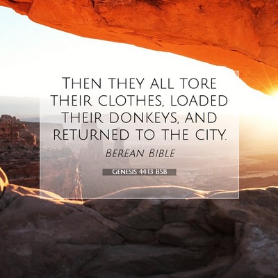 Picture 07 - Genesis 44:13 BSB - Then they all tore their clothes, loaded their - Bible Verse Picture