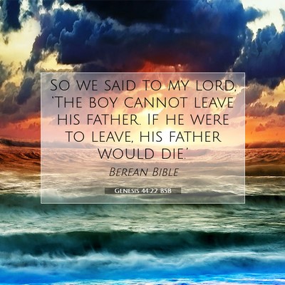 Picture 07 - Genesis 44:22 BSB - So we said to my lord, ‘The boy cannot leave - Bible Verse Picture