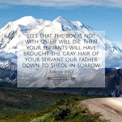 Picture 07 - Genesis 44:31 BSB - sees that the boy is not with us, he will die. - Bible Verse Picture