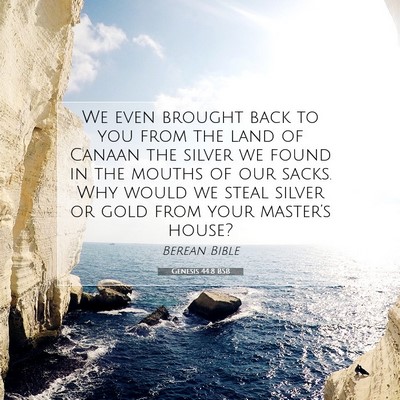Picture 07 - Genesis 44:8 BSB - We even brought back to you from the land of - Bible Verse Picture