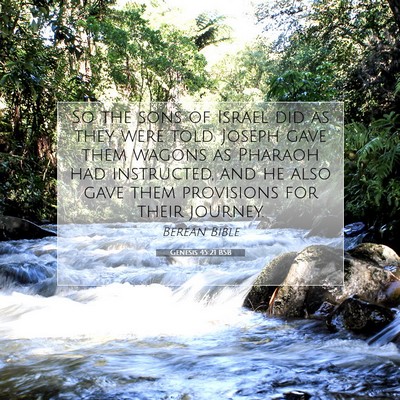 Picture 07 - Genesis 45:21 BSB - So the sons of Israel did as they were told. - Bible Verse Picture