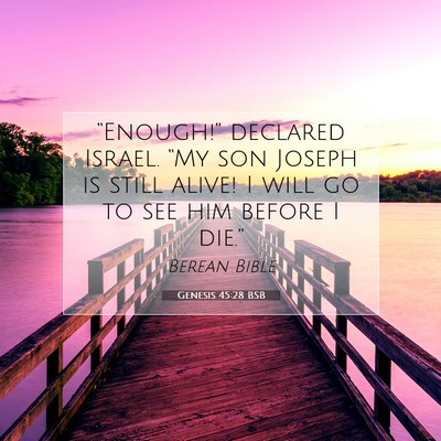 Picture 07 - Genesis 45:28 BSB - “Enough!” declared Israel. “My son Joseph - Bible Verse Picture