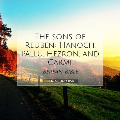 Picture 07 - Genesis 46:9 BSB - The sons of Reuben: Hanoch, Pallu, Hezron, and - Bible Verse Picture