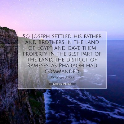Picture 07 - Genesis 47:11 BSB - So Joseph settled his father and brothers in the - Bible Verse Picture