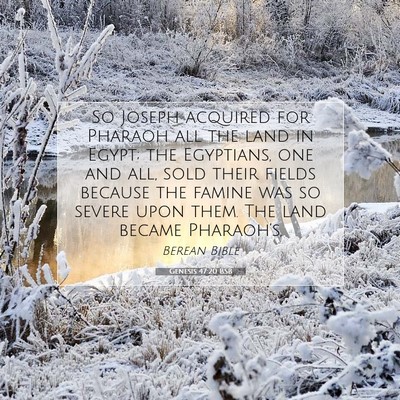 Picture 07 - Genesis 47:20 BSB - So Joseph acquired for Pharaoh all the land in - Bible Verse Picture