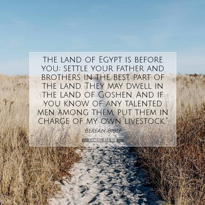 Picture 07 - Genesis 47:6 BSB - the land of Egypt is before you; settle your - Bible Verse Picture