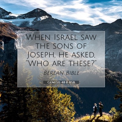 Picture 07 - Genesis 48:8 BSB - When Israel saw the sons of Joseph, he asked, - Bible Verse Picture