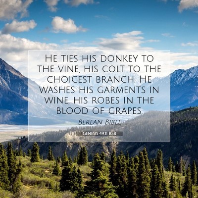 Picture 07 - Genesis 49:11 BSB - He ties his donkey to the vine, his colt to the - Bible Verse Picture