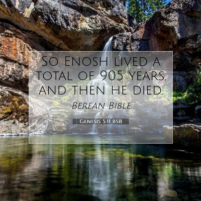 Picture 07 - Genesis 5:11 BSB - So Enosh lived a total of 905 years, and then he - Bible Verse Picture