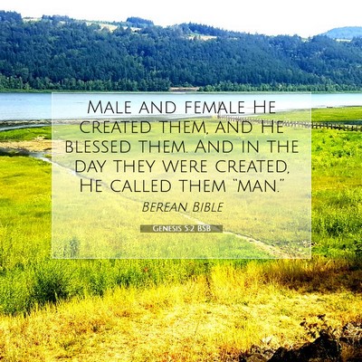 Picture 07 - Genesis 5:2 BSB - Male and female He created them, and He blessed - Bible Verse Picture