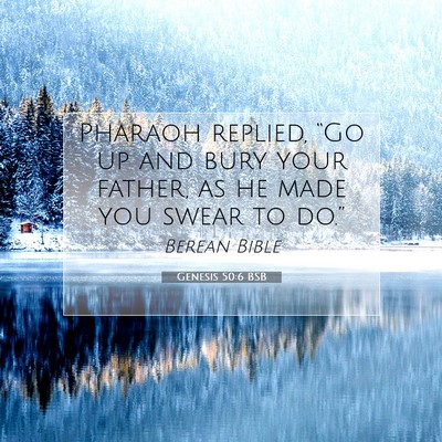 Picture 07 - Genesis 50:6 BSB - Pharaoh replied, “Go up and bury your father, - Bible Verse Picture