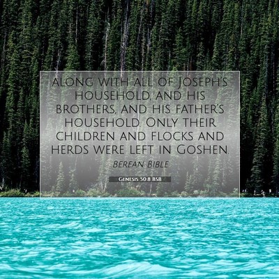 Picture 07 - Genesis 50:8 BSB - along with all of Joseph’s household, and his - Bible Verse Picture