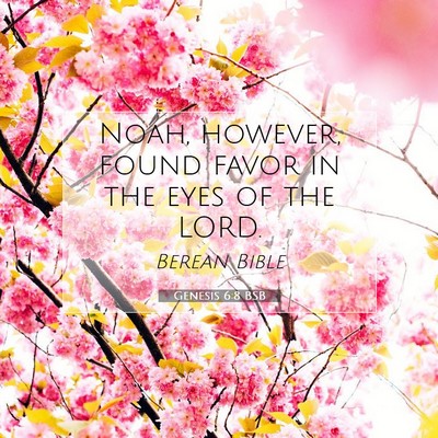 Picture 07 - Genesis 6:8 BSB - Noah, however, found favor in the eyes of the - Bible Verse Picture