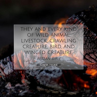 Picture 07 - Genesis 7:14 BSB - they and every kind of wild animal, livestock, - Bible Verse Picture