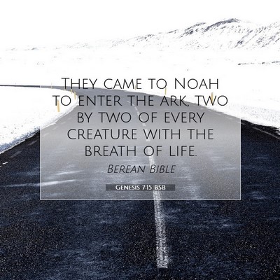Picture 07 - Genesis 7:15 BSB - They came to Noah to enter the ark, two by two of - Bible Verse Picture