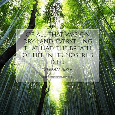 Picture 07 - Genesis 7:22 BSB - Of all that was on dry land, everything that had - Bible Verse Picture