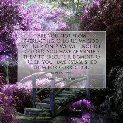 Picture 07 - Habakkuk 1:12 BSB - Are You not from everlasting, O LORD, my God, my - Bible Verse Picture