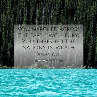Picture 07 - Habakkuk 3:12 BSB - You marched across the earth with fury; You - Bible Verse Picture